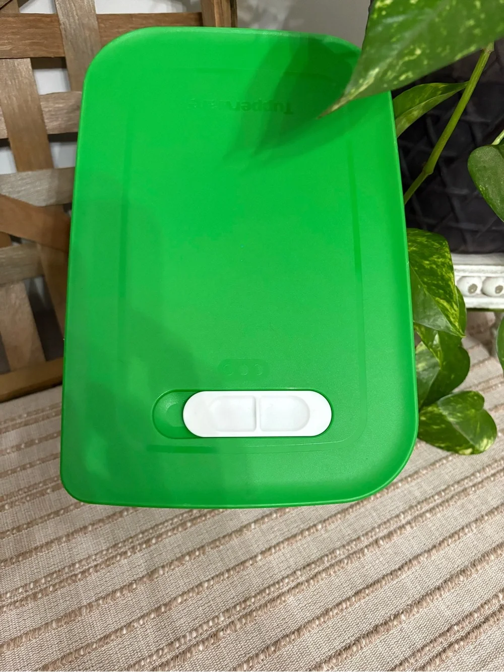 Tupperware FridgeSmart Medium Deep 4.4L/ 1 Gal Fruit Vegetable Keeper Vented Clr